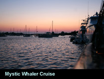 Mystic Whaler Cruises